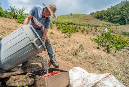 WasteOps Sweet Berry- Single Origin Coffee